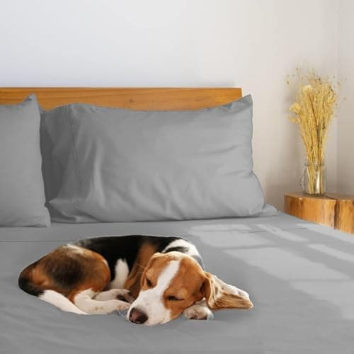 LuxClub Spannbettlaken 90–100x200 cm – 100% Jersey-Baumwolle | 30 cm Steghöhe | Weich & knitterfrei