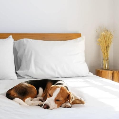 LuxClub Spannbettlaken 90–100x200 cm – 100% Jersey-Baumwolle | 30 cm Steghöhe | Weich & knitterfrei
